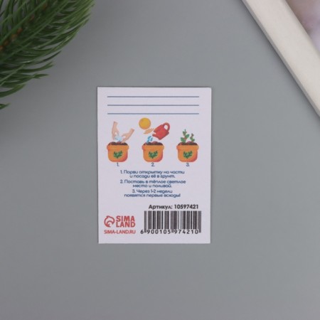 Postcard with the seeds "grow itself" to the "beloved teacher" 5*7cm-2