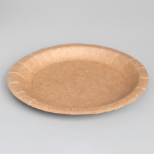 Disposable plate 