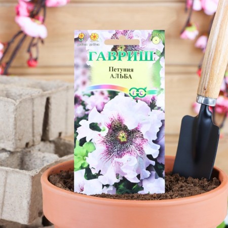 Flowers of Petunia "Alba" fringe, o, test tube, 7 pcs.