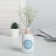 Vase for flowers glass "Dreams", 13.4 x 6.1 cm, 250 ml