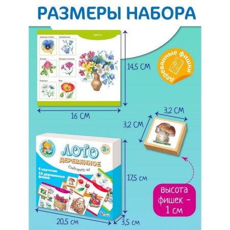 Loto wooden "Collect"-4
