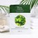 Fabric face mask with olive extract, moisturizing