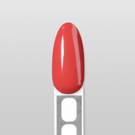 Simple nail polish gel, 3 phase, 10 ml, led/uv, color (195)-15