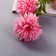 Artificial flowers "chrysanthemum pompom" d-6 cm 80 cm, pink