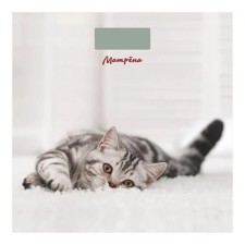 Floor Matryona Ma-090, electronic, up to 180 kg, 1xcr2032, glass, picture 