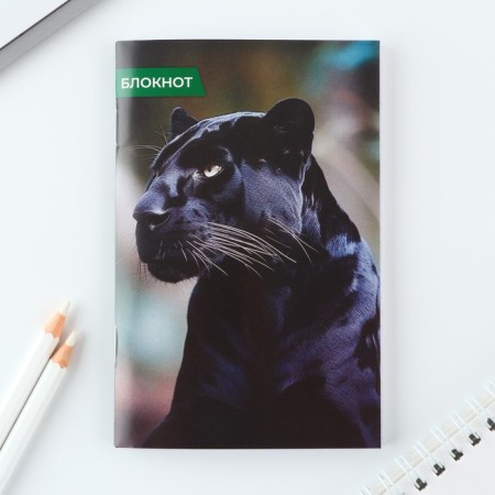 Mix of Notepad A6, 32 sheets "Animals"-3