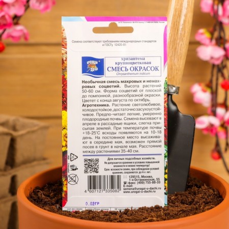 Seeds of chrysanthemum flowers are long -term "mixture", large -flowered, 0.02 g-3