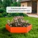 Glocked flowerbed, d = 100 cm, h = 15 cm, orange, Greengo