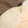 A cap from the sheepskin -sheepskin -a -wings mourning cap.