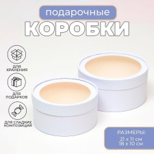 Box - tube 2 in 1, with a transparent cover 