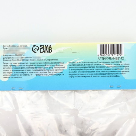 Lilia Asian Kashpo "Trendy Santo Domingo", district 12/14, 2 pcs, spring 2024-3