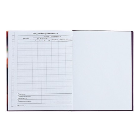 Universal diary for grades 1-11 Stylish Girl, hard cover, matte lamination, selective varnish, 40 sheets-8