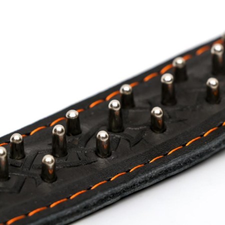 Collar leather two-layer rogging "hedgehog", 65 x 3.5 cm, Osh 50-60 cm, black-4