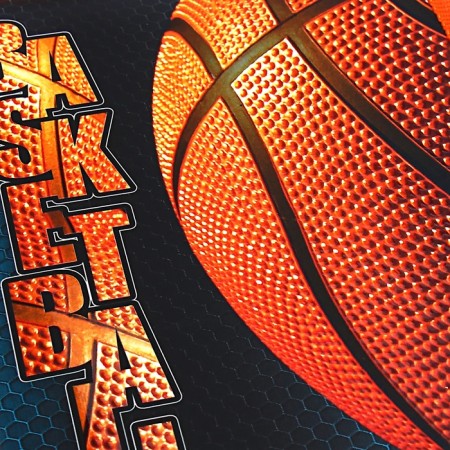Penal 1 section 130 x 190 mm, hinged bar, Hatber "Basketball", black/orange (volumetric 3D risun) NPN_46066-6