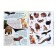 Activati-book with stickers and growing toys "Animal planets", 12 p.