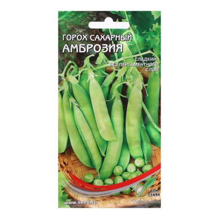 Seeds "Ambrosia" vegetable sugar, 50 pcs