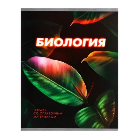 Substantial notebook Calligrata "3D", 48 sheets in a biology cage, with reference material, covered cardboard, unit No. 2, whiteness 75% (gray sheets)-4