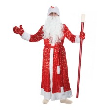 Carnival costume 