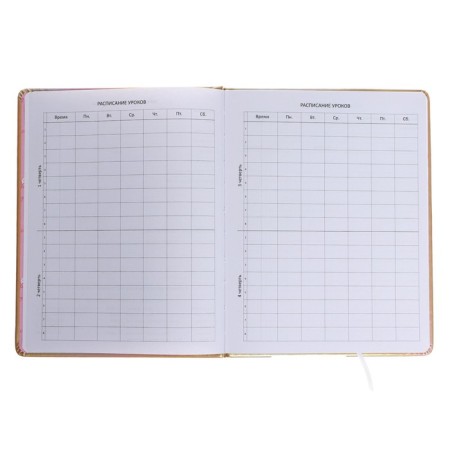 Universal diary for grade 1-11 Style Girl, hard cover, artificial leather, foam rubber, liesse, 80 g/m2-4