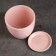 Flower pot "Jaraldin" 0.8l