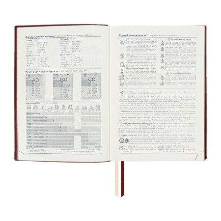 Dated 2025 diary, A5+, 176 sheets of Escalada, soft cover cover, pancake embossing, lies, cream block 70 g/m2, brown-8