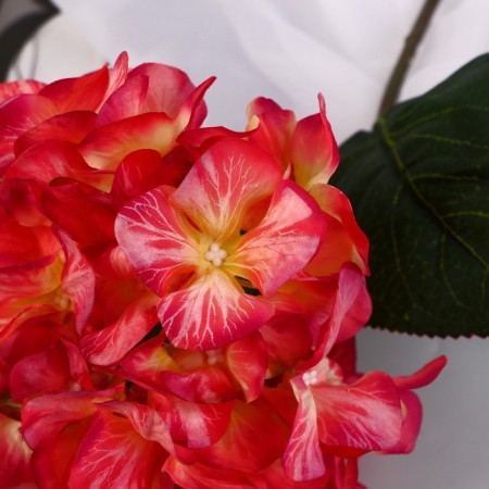 Artificial flowers "Elite hydration" D-16 cm 50 cm, red-1