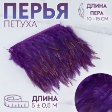 Braid with feathers of a rooster, 10-15 cm, 5 ± 0.5 m, purple color