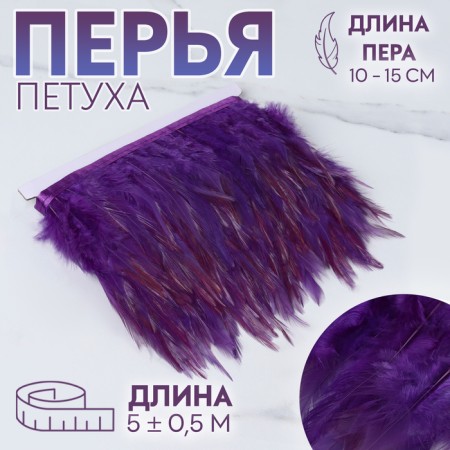 Braid with feathers of a rooster, 10-15 cm, 5 ± 0.5 m, purple color