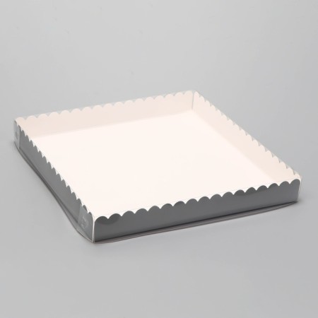 Box for cookies, silver, 25 x 25 x 3 cm-1