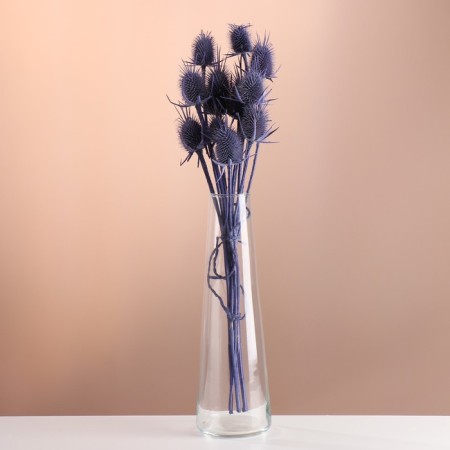 Set of dried flowers "Brush", banch 7-8 pcs, length 50 (+/- 6 cm), purple