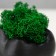 Concrete Kashpo "tooth" with moss black 7.5x6.5x9.5 cm (moss green stabilized)
