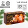 New Year! Black tea in filter packages "Happiness and Magic", 20 pcs. X 2 g.