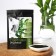 Spirulin organic in powder "Good health", 50 g