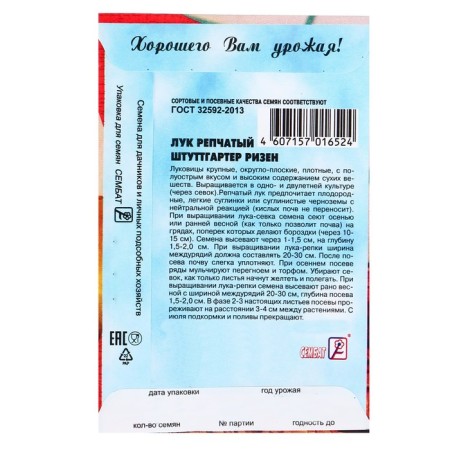 Onions on onion "Stuttgarter Risen", 0.5 g-1