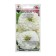 Cinnia flowers "Marquis in White", 0.2 g