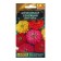 Zinnia seeds sensation, mixture of varieties ONE Golden Series C/P 12pcs