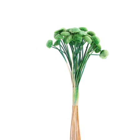 Sukhotzet "Batao" set 20 pcs., Green color-2