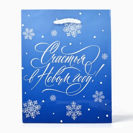 Package New Year's laminated “Happiness in the New Year”, S 12 x 15 x 5.5 cm-1