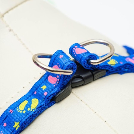 Set "Color Transes", leash 120 x 1 cm, fire 23-35 cm, blue-3
