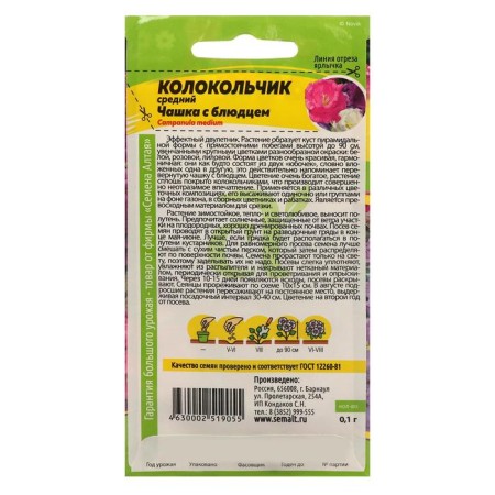 Flower seeds bell "cup with a saucer", c/p, 0.1 g-1