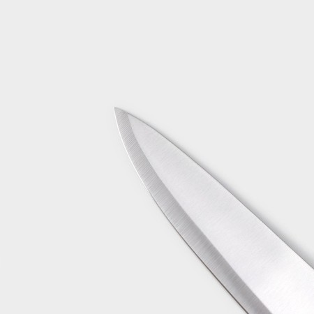 Knife Kitchen shade "cook Troika" blade 25.5 cm, wooden handle-2