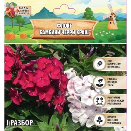 Flox "Bambini Cherry Krash" rr I, 2 pcs,-1