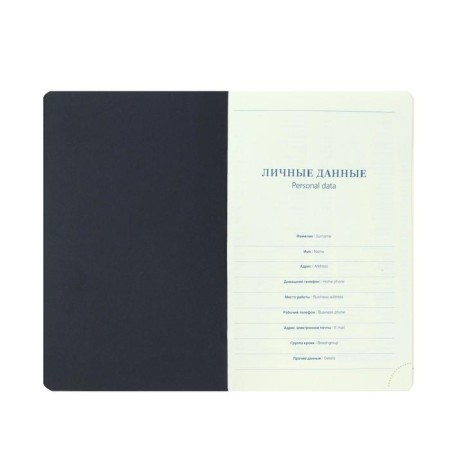 Diary Lowed Western A5, 136 sheets in a cage, leatherette, blue, blue cut, with an elastic band, 2 lies, perforated corners-3