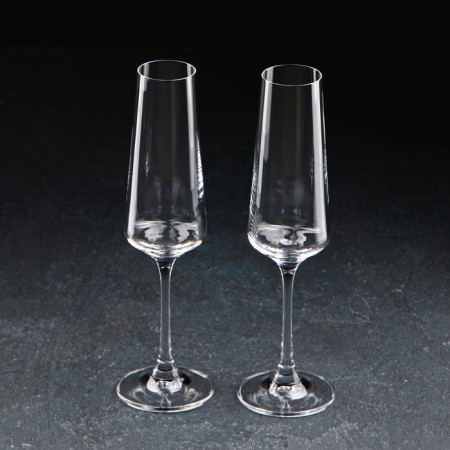 Set of glasses for champagne Corvus, 160 ml, 2 pcs-1