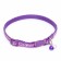 The two -layer collar with the Fastex "Squares", 30 x 1 cm, purple