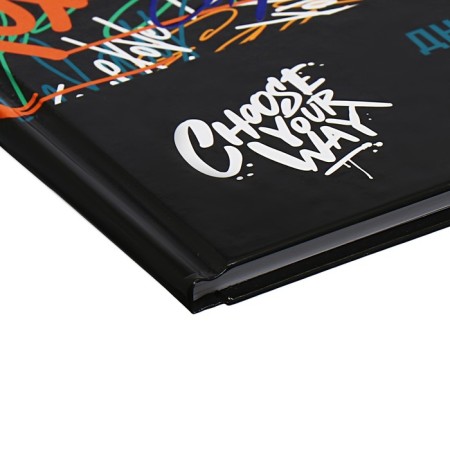 Diary for grades 5-11, 48 graffiti sheets, hard cover, glossy lamination, foil embossing, universal cheat sheet, block 65g/m2-2