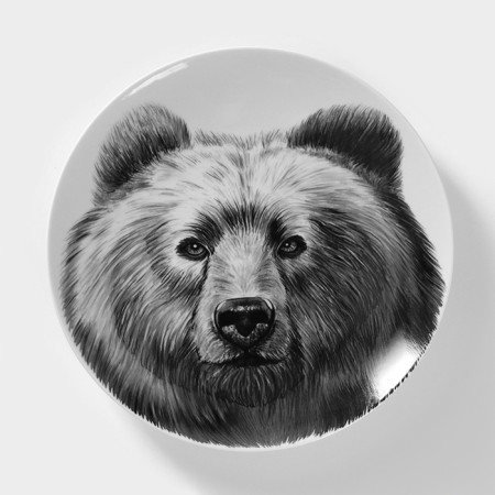 Porcelain plate "Bear", D = 24 cm