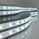 Elektrostandard LED strip, IP20, 5050, 60LED/m, 24V, glow cold white