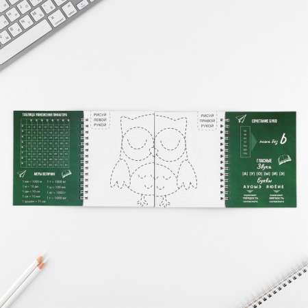 Set: a double notebook with tasks and the pen "excellent study"-3