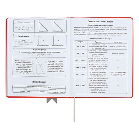 Universal diary for grades 1-11 Lenta, solid cover of artificial leather, applique, silkography, liesse, 48 sheets, red-9